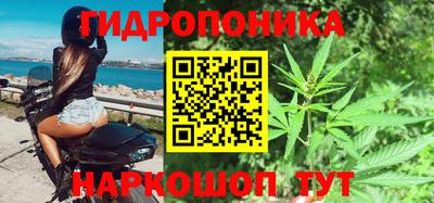 гашик Заводоуковск