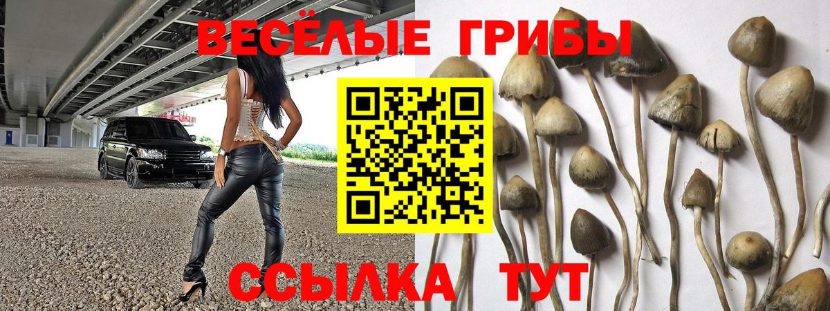 Химки  Галлюциногенные грибы Psilocybine cubensis  Вход с VPN 